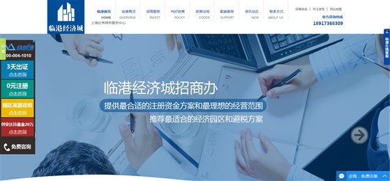 临港公司注册网站-追马网
